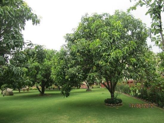 Jim Corbett Resort Ramnagar  Dış mekan fotoğraf